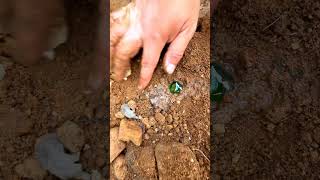 Full video on homepagegems agatecrystalgoldGemsdiamondsgold minesemeralds pearl [upl. by Atinuahs]