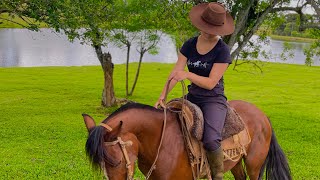 Retiramos o Garanhão da Manada  Manejos [upl. by Leigh]