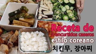 Receta encurtidos caseros estilo coreano Como hacer comida coreana chiken radishcomida fermentada [upl. by Aneram]