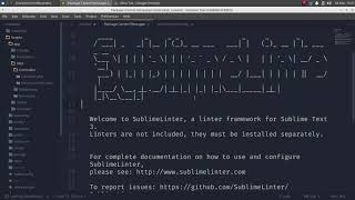 Install SublimeLinter  Sublime Text 3 [upl. by Heath]