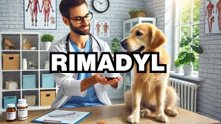 What Is Rimadyl For Dogs Explained [upl. by Natye]