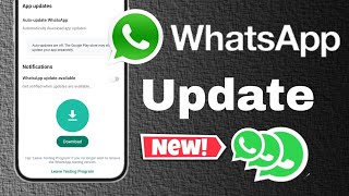 WhatsApp Messenger Update Kaise kare  Auto Enable Setting  whatsapp update features 2024 [upl. by Sandeep]