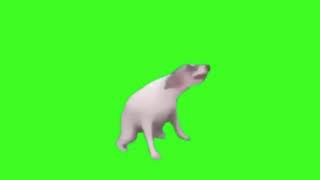 Dog Dance Meme [upl. by Naihs]