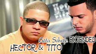 Hector amp Tito  Gata Salvaje Extended [upl. by Nordna540]