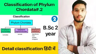 Classification of Phylum Chordata [upl. by Laufer122]