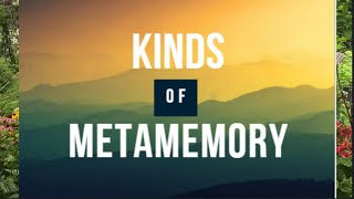 Kinds of Metamemory [upl. by Adnofal]