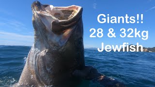 Giants 28 and 32kg Jewfish Spearfishing [upl. by Ailemaj479]