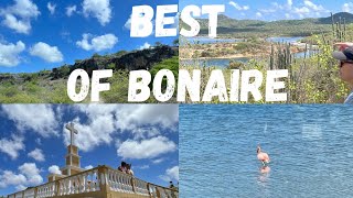 “Best of Bonaire” Excursion via Carnival  History Awesome Views amp Flamingos  Beautiful Island [upl. by Enneite]