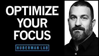 Focus Toolkit Tools to Improve Your Focus amp Concentration  Huberman Lab Podcast 88 [upl. by Suoivatco]