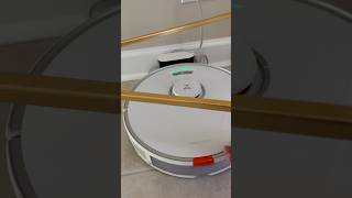 Robot Vacuum doing all the work cleaning [upl. by Rothwell]