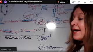 bioquimica II  metabolismo das pirimidinas 03112020 [upl. by Camilia252]