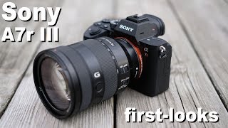 Sony A7r III review  first looks [upl. by Ellives]