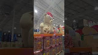 Giant teddy bear ng Costco Australia [upl. by Chantalle]