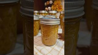 How to make amp can PUMPKIN BUTTER😋 canning pumpkin country thanksgiving simplerecipe [upl. by Yrrat]