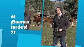 Análisis de la encuesta de las elecciones en Castilla y León [upl. by Namref]