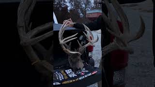 240quot Iowa Buck Claimed by EHD [upl. by Nnairam]