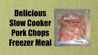 Slow Cooker Pork Chops  Freezer Meal [upl. by Jobey292]