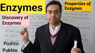 Enzymes  Discovery of Enzymes  Properties of Enzymes  Biology Class 11  Dr Mushtaq Pashto [upl. by Lowrie]