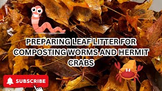 LEAF LITTER Worm amp Hermit Crab Clean Up Crew 500 Growth [upl. by Noryv]