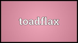 Toadflax Meaning [upl. by Crowell]