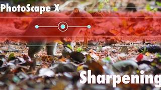 Sharpening Image with PhotoScapeX [upl. by Lertnahs]