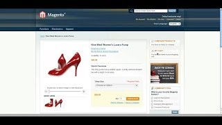 How to Install Magento Sample Data [upl. by Nomrej448]