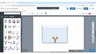 Introduction à lutilisation de BIORENDER pour réaliser vos schémas en Biotechnologies [upl. by Karly586]