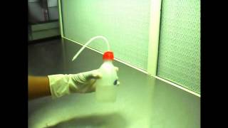 How to inoculate in Laminar air flow chamber [upl. by Barnet]