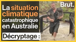 Australie  la situation vire au cauchemar climatique [upl. by Amargo]