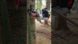 DOCMA VF105 Red Iron Portable Forestry Winch Load big logs on the sawmill [upl. by Augustin728]