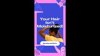 Is Your Hair Moisturized Or Just Wet [upl. by Ahcsat194]