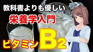 【栄養学の基礎】ビタミンB2の特徴や生理作用、過剰症や欠乏症などを簡単に解説してみた！ [upl. by Lukin427]