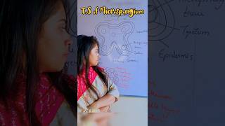 How to draw Microsporangium easily microsporangium  easy trick microsporogenesis shorts youtube [upl. by Skinner]