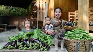 Harvest green vegetables and eggplants to sell at the market  cook with your children [upl. by Yehudit]