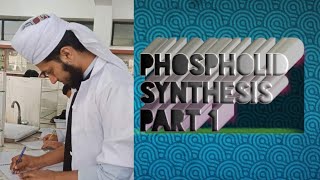 Phospholipid synthesis part 1  phosphatidic acid [upl. by Remliw]