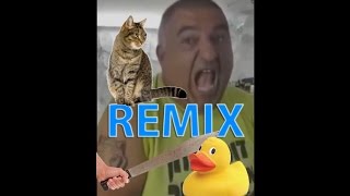 אפי הנמר שואג  רמיקס חתול ברווז REMIX [upl. by Enomahs569]