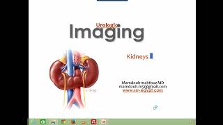 Renal imaging anatomy and pathology I DRE Prof Mamdouh Mahfouz [upl. by Meesak658]