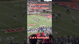 University of Arizona Wildcats Vs University of Houston Cougars HD  Tucson AZ 111524 [upl. by Sallyann]