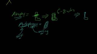 3  Introduction to Pathology  Atrophy Metaplasia [upl. by Aiekram840]