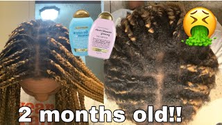 TAKING DOWN 2 MONTH OLD BOX BRAIDS  NEW GROWTH  WASHING HAIR💇🏾‍♀️🪮 [upl. by Neuburger]