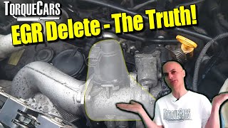 EGR DeleteEGR Removal  Worth The RiskEffort All You Need To Know About EGR Deletes [upl. by Yrrah]