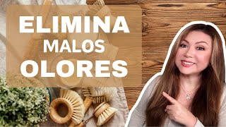 AROMA DELICIOSO EN TU HOGAR CON ESTAS IDEAS Y TIPS 🏠 EXCELENTES OPCIONES PARA AROMATIZAR TU CASA 🏠 [upl. by Rehpotsirc]