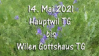 14 Mai 2021 Von Hauptwil TG bis Wilen Gottshaus TG [upl. by Hayott]