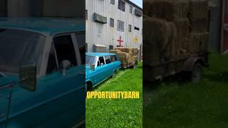 Hauling Hay OpportunityBarn Shorts [upl. by O'Donovan]