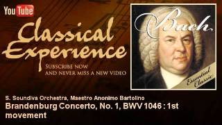 Johann Sebastian Bach  Brandenburg Concerto No 1 BWV 1046  1st movement  ClassicalExperience [upl. by Nellahs]