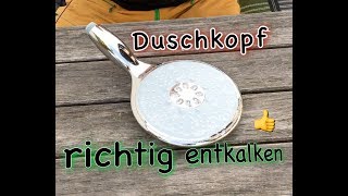 Duschkopf richtig entkalken GROHE Duschkopf [upl. by Nino]