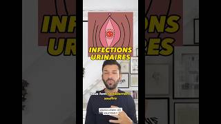 Infections urinaires  TOUT SAVOIR [upl. by Conley]