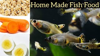 How to make fish food at home in tamil Homemade food for all aquarium fish High protein fish food [upl. by Iggep]