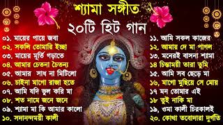 Shyama Sangeet  সেরা ২০টি শ্যামা সংগীত  Kali Puja Song Bengali  Kumar Sanu Anuradha Paudwal 2024 [upl. by Laniger792]