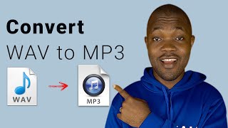 How to Convert WAV to MP3 on Android Free amp Efficient [upl. by Poland566]